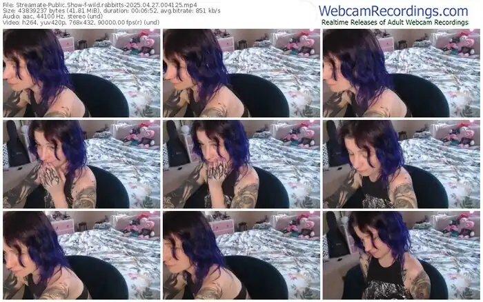 2025/04/27/streamate-wild.rabbitts-00-41-25