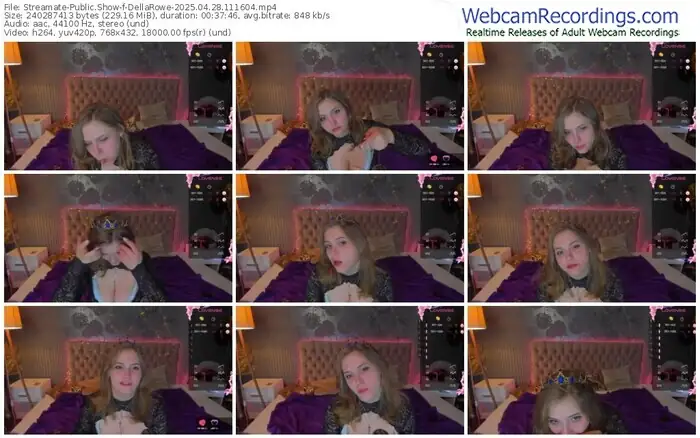 2025/04/28/streamate-dellarowe-11-16-04