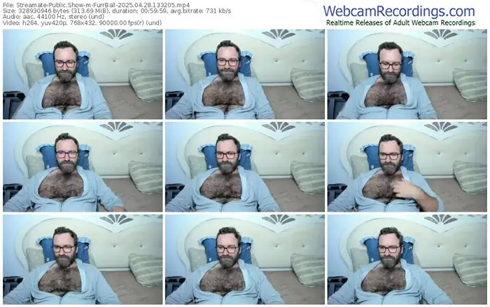 2025/04/28/streamate-furrball-13-32-05