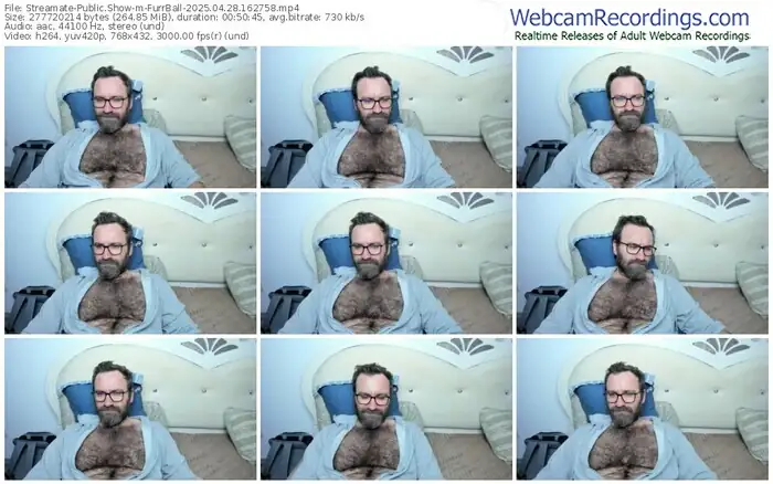 2025/04/28/streamate-furrball-16-27-58