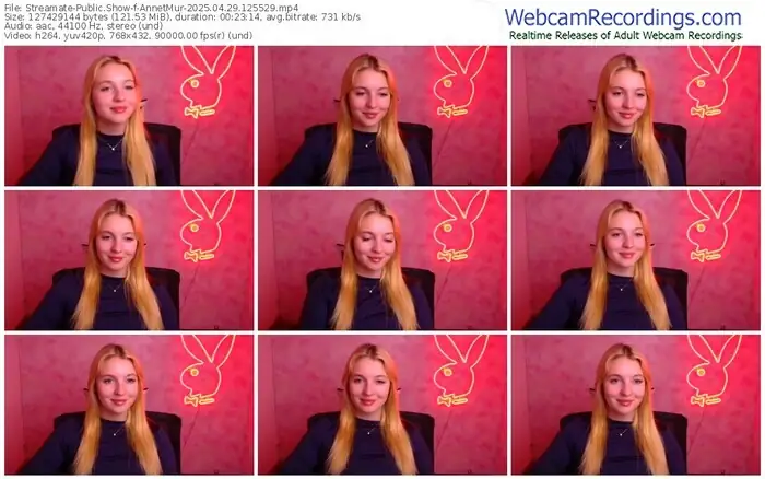 2025/04/29/streamate-annetmur-12-55-29