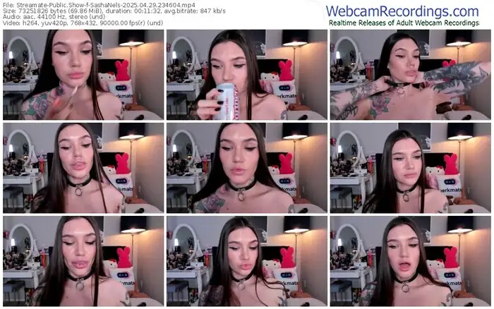 2025/04/29/streamate-sashanels-23-46-04