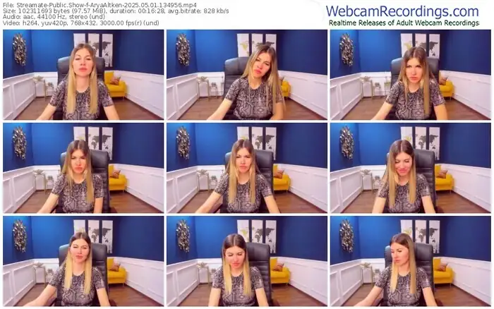 2025/05/01/streamate-aryaaltken-13-49-56