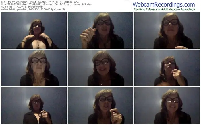 2025/05/01/streamate-pamelase-20-40-14