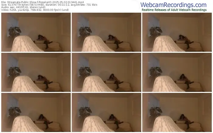 2025/05/02/streamate-rosaliaxo-01-34-41