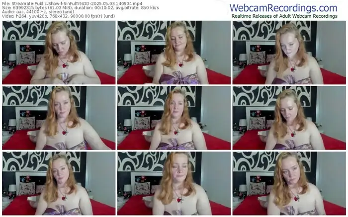 2025/05/03/streamate-sinfultitsdd-14-09-04