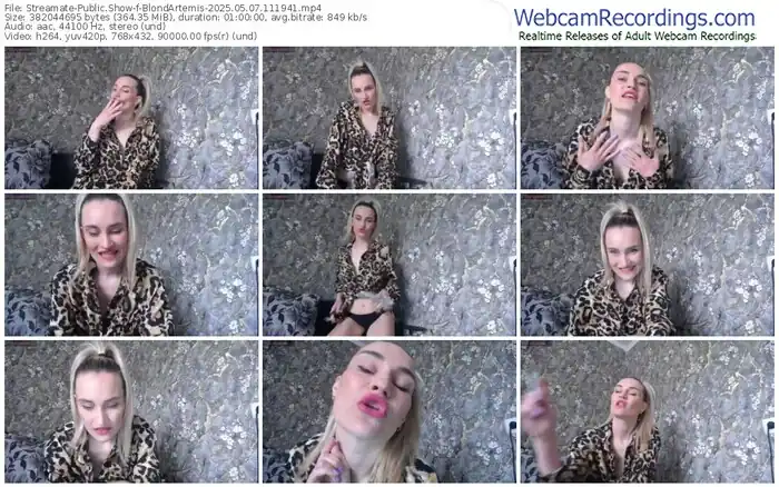 2025/05/07/streamate-blondartemis-11-19-41