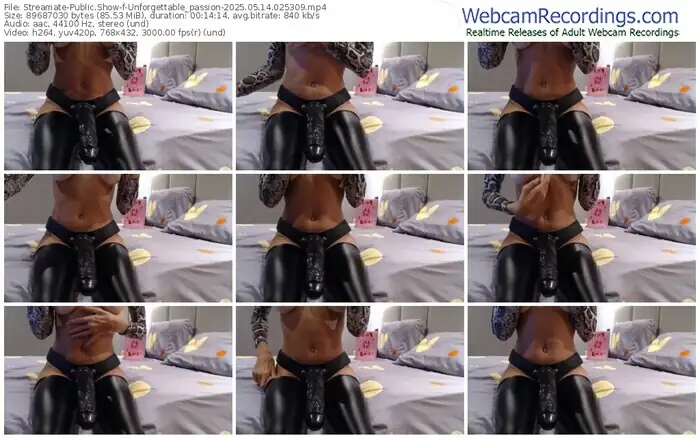 2025/05/14/streamate-unforgettable_passion-02-53-09