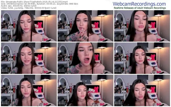 2025/05/16/streamate-sashanels-21-22-53