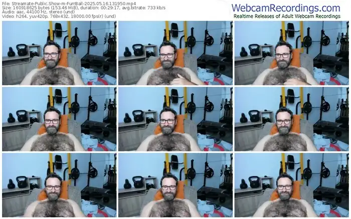 2025/05/16/streamate-furrball-13-19-50