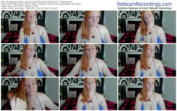 2025/05/17/streamate-sinfultitsdd-13-28-38