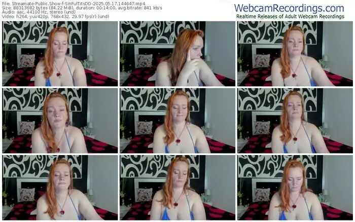 2025/05/17/streamate-sinfultitsdd-14-46-47