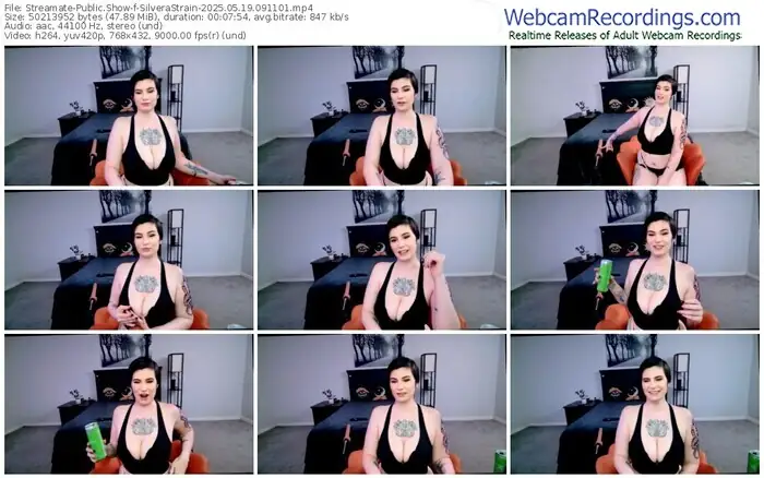 2025/05/19/streamate-silverastrain-09-11-01