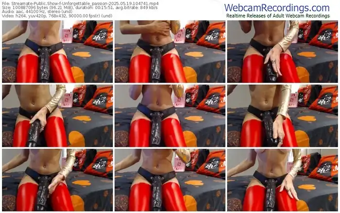 2025/05/19/streamate-unforgettable_passion-10-47-41