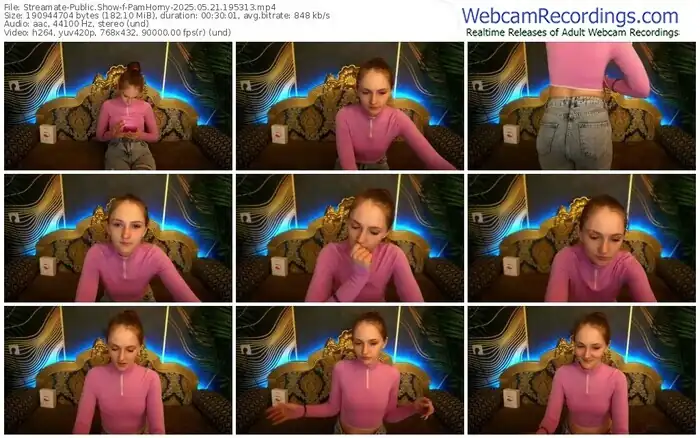 2025/05/21/streamate-pamhorny-19-53-13