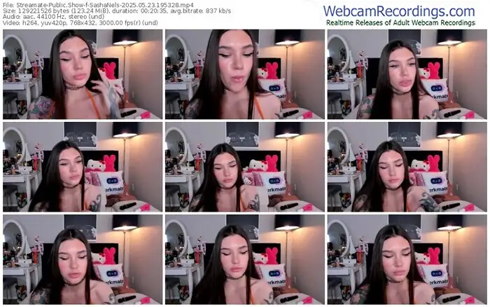 2025/05/23/streamate-sashanels-19-53-28