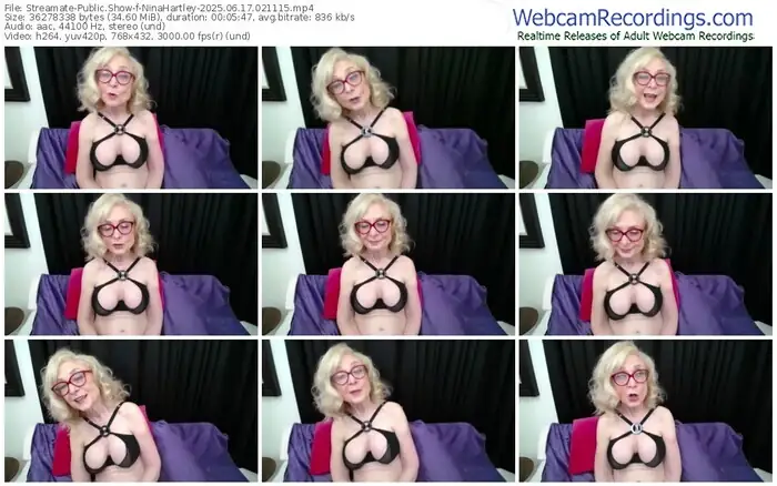 2025/06/17/streamate-ninahartley-02-11-15