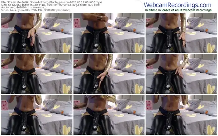 2025/06/17/streamate-unforgettable_passion-03-16-00