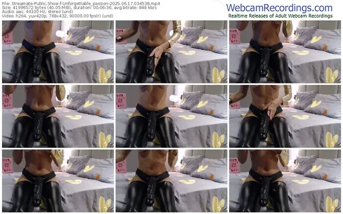 2025/06/17/streamate-unforgettable_passion-03-45-38