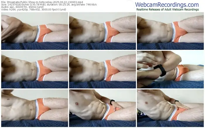 2025/06/22/streamate-sonicegay-13-09-33