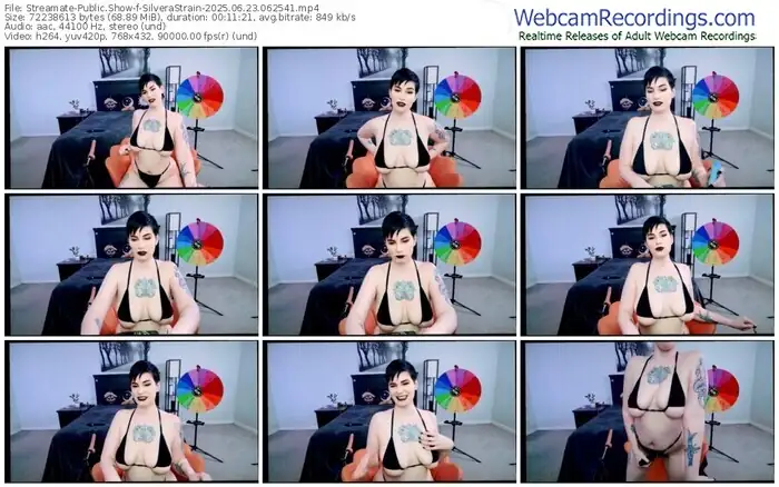 2025/06/23/streamate-silverastrain-06-25-41