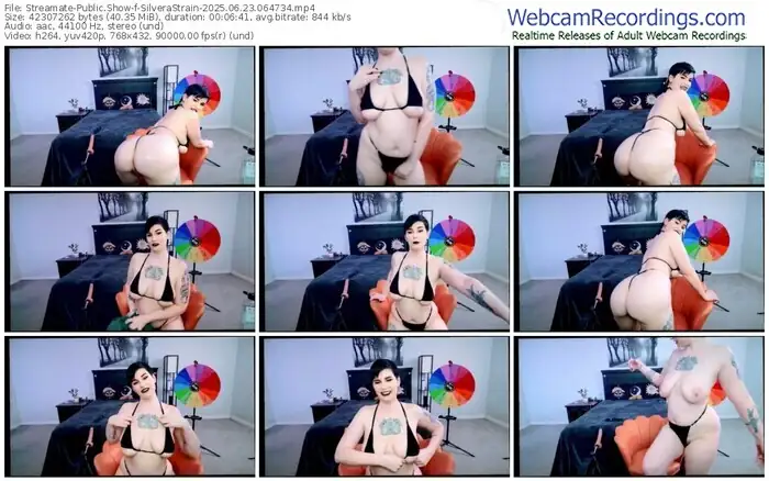 2025/06/23/streamate-silverastrain-06-47-34