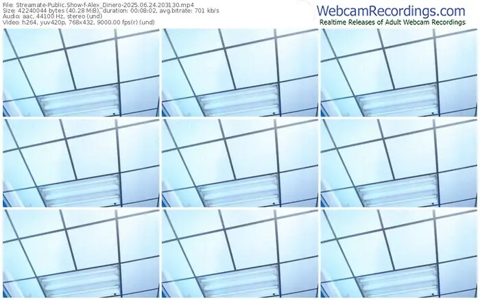 2025/06/24/streamate-alex_dinero-20-31-30