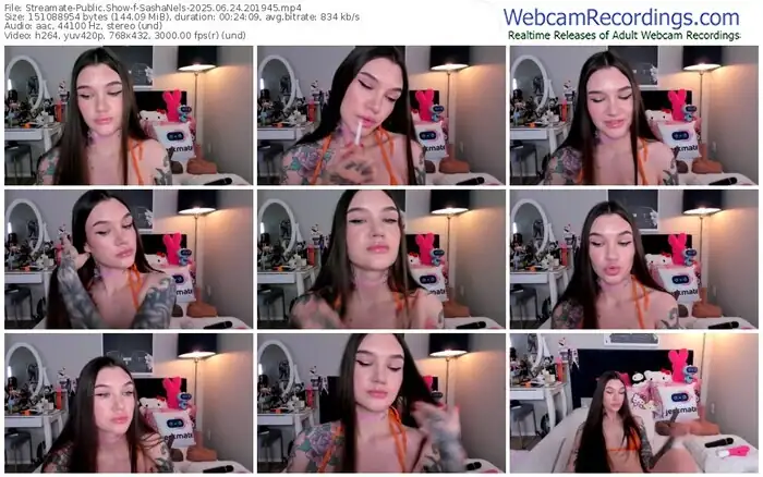 2025/06/24/streamate-sashanels-20-19-45