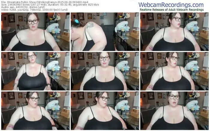 2025/06/24/streamate-winkingdaisys-09-34-00