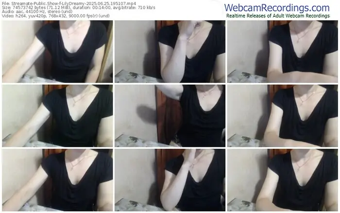 2025/06/25/streamate-lilydreamy-19-51-07