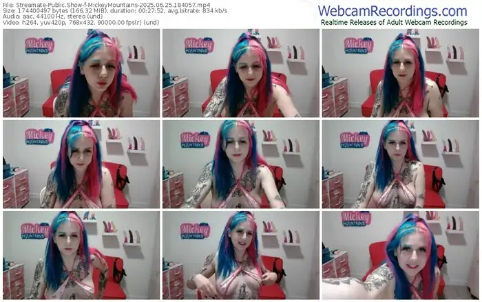 2025/06/25/streamate-mickeymountains-18-40-57