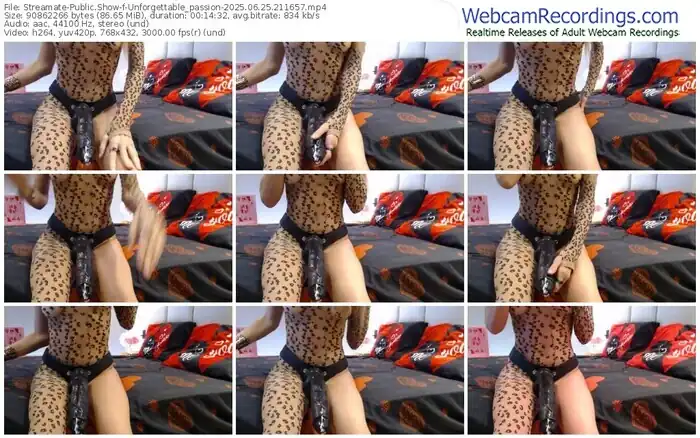 2025/06/25/streamate-unforgettable_passion-21-16-57