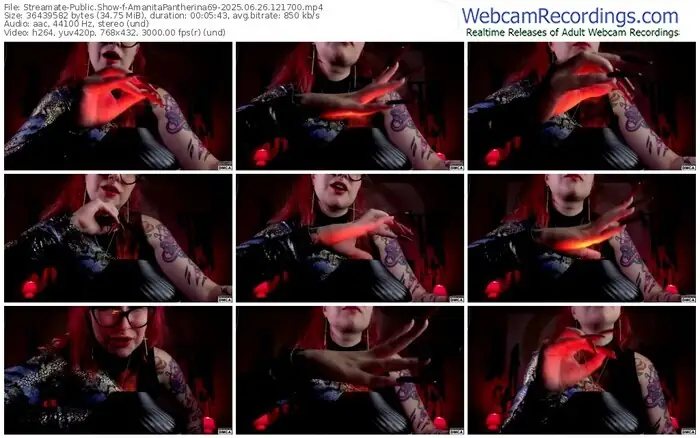 2025/06/26/streamate-amanitapantherina69-12-17-00