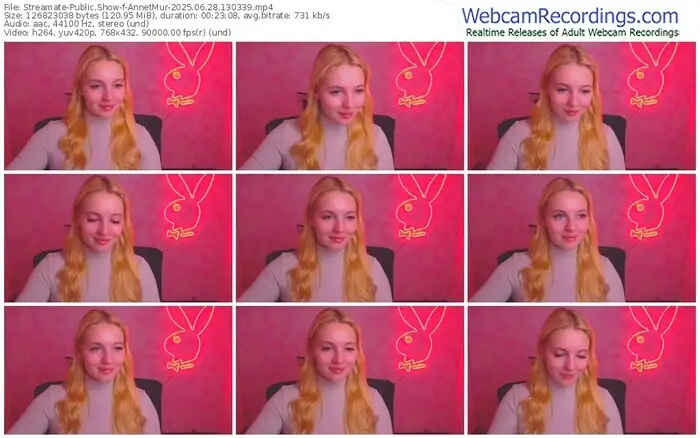 2025/06/28/streamate-annetmur-13-03-39
