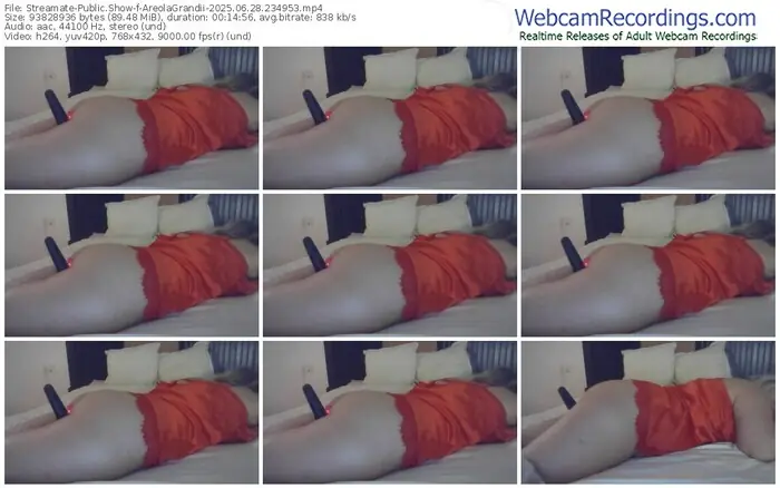 2025/06/28/streamate-areolagrandii-23-49-53