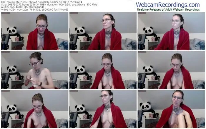 2025/06/28/streamate-danadolce-11-05-33