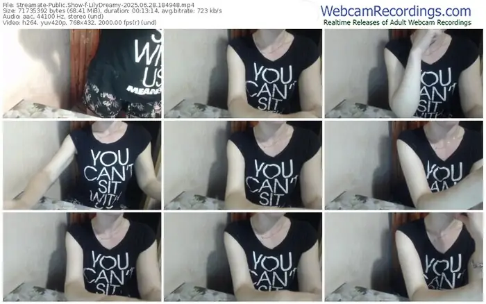 2025/06/28/streamate-lilydreamy-18-49-48