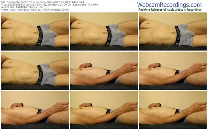 2025/06/28/streamate-sonicegay-21-44-00
