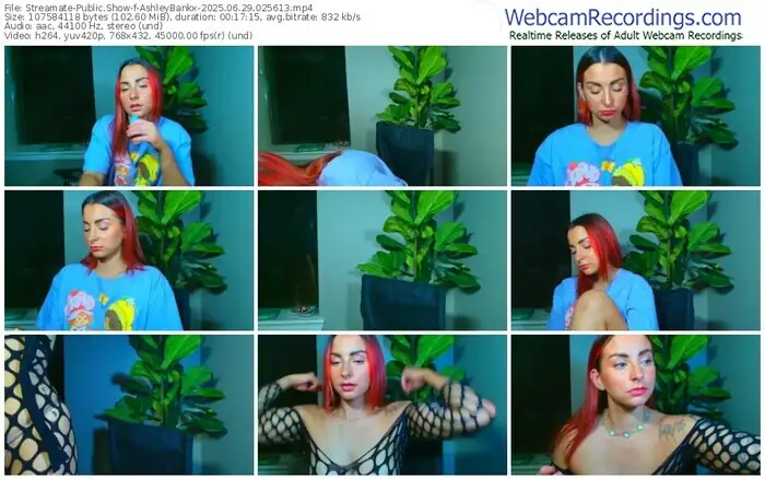 2025/06/29/streamate-ashleybankx-02-56-13