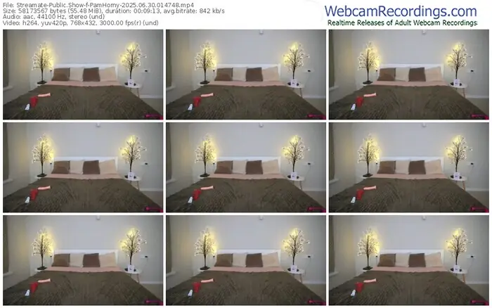 2025/06/30/streamate-pamhorny-01-47-48