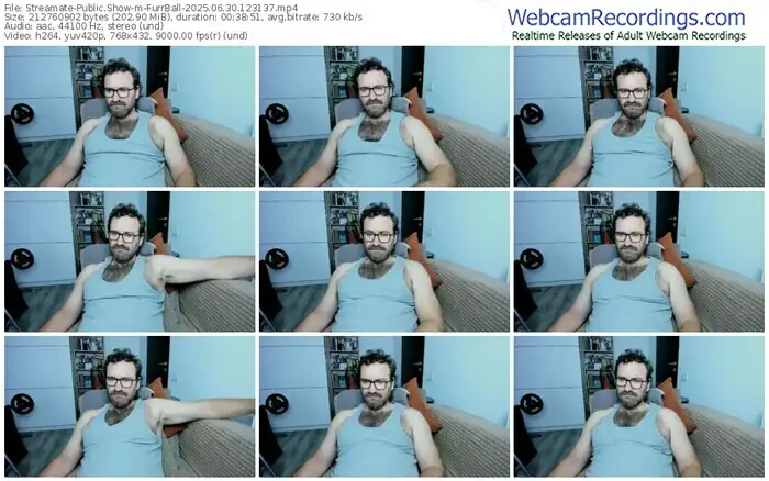 2025/06/30/streamate-furrball-12-31-37