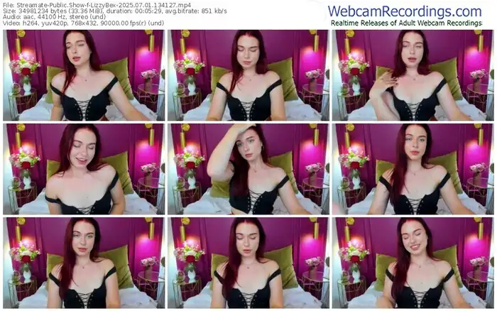 2025/07/01/streamate-lizzybex-13-41-27