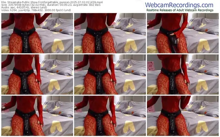 2025/07/02/streamate-unforgettable_passion-01-14-39