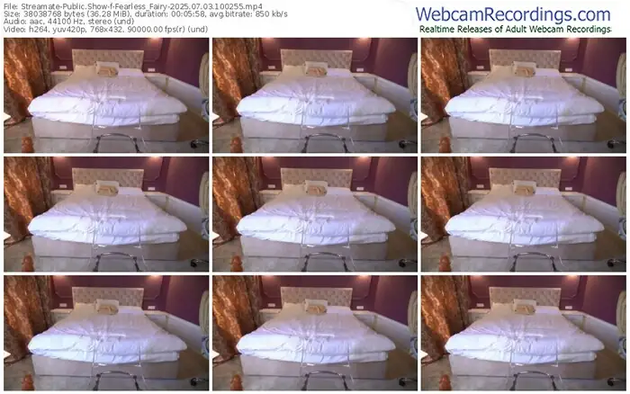 2025/07/03/streamate-fearless_fairy-10-02-55