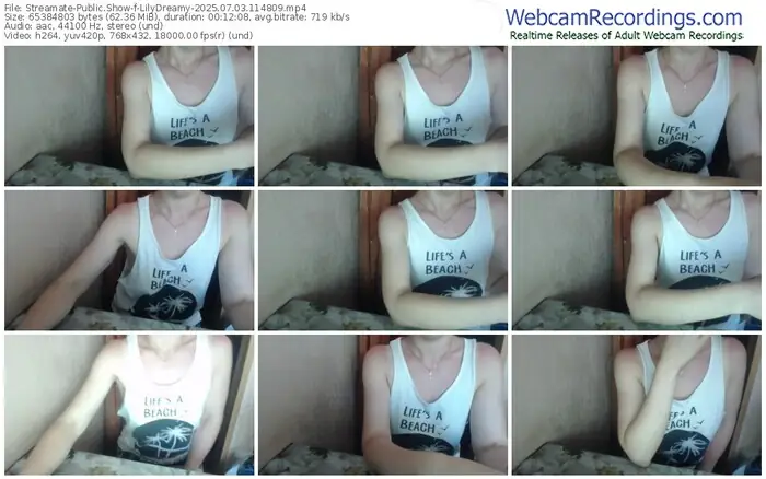 2025/07/03/streamate-lilydreamy-11-48-09
