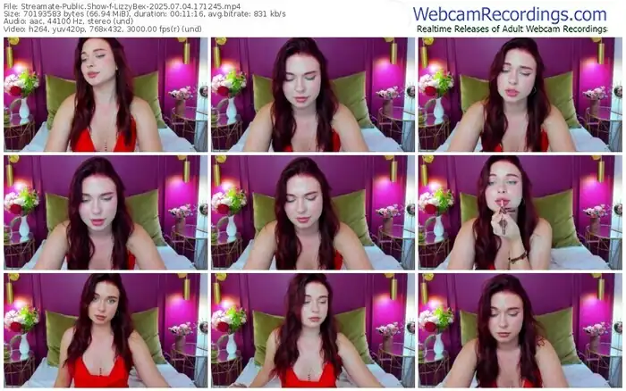 2025/07/04/streamate-lizzybex-17-12-45
