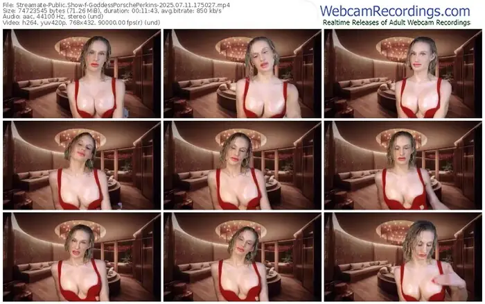 2025/07/11/streamate-goddessporscheperkins-17-50-27