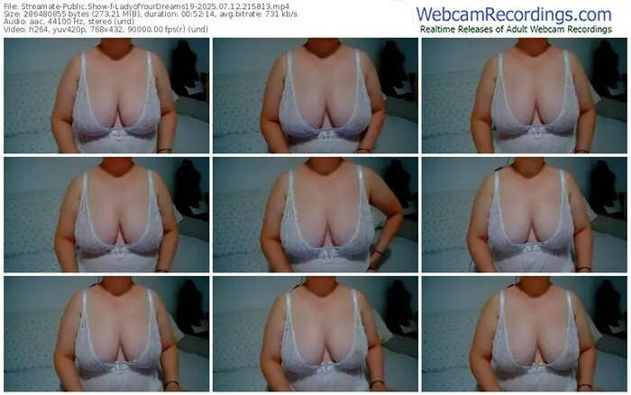 2025/07/12/streamate-ladyofyourdreams19-21-58-13