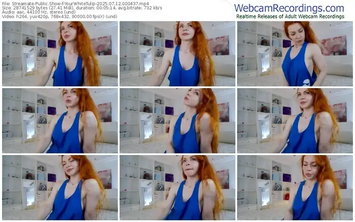 2025/07/12/streamate-yourwhitetulip-00-04-37