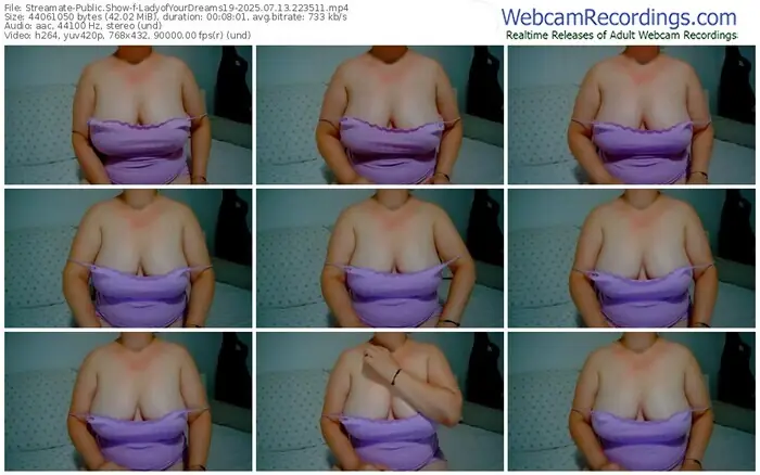 2025/07/13/streamate-ladyofyourdreams19-22-35-11